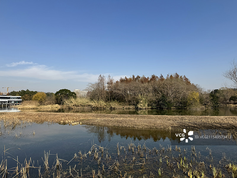 上海浦东金海湿地公园图片素材