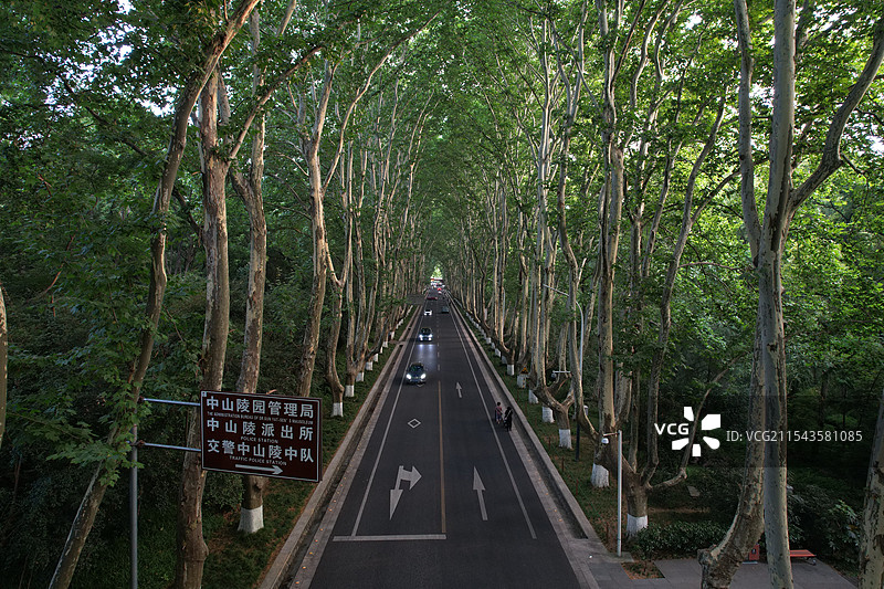 航拍南京梧桐大道图片素材