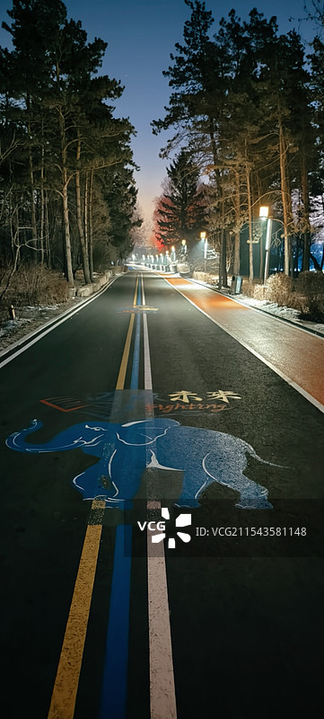 南湖公园清晨跑步步道图片素材