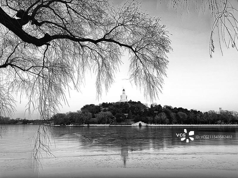 柳岸古意浓图片素材