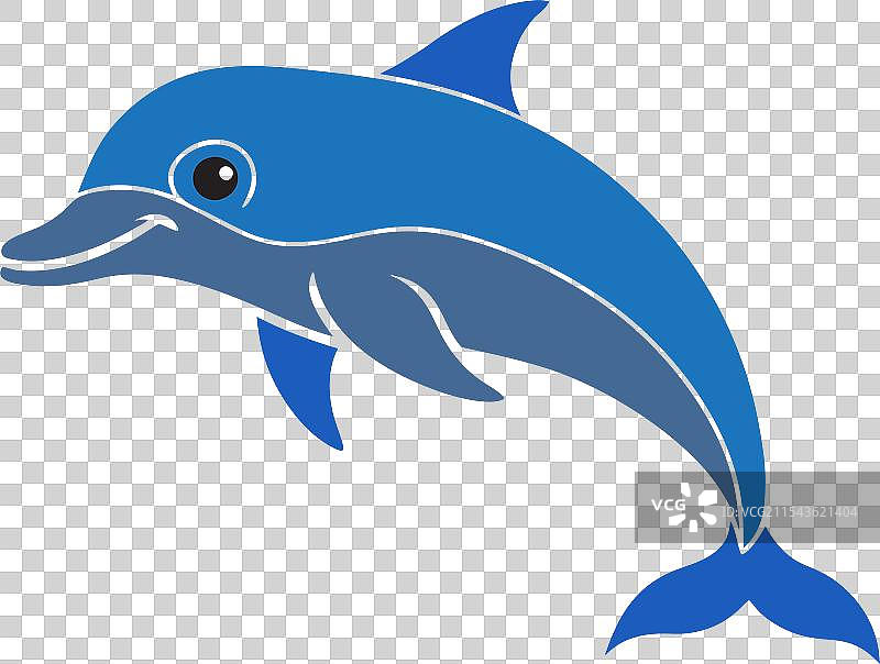 海豚艺术图片素材