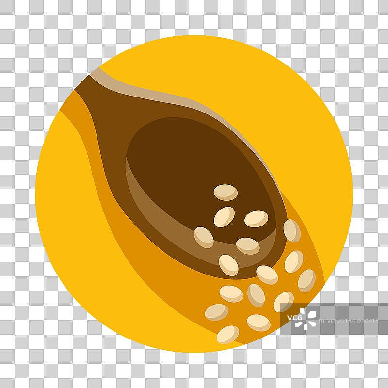 藜麦种子 - 富含维生素和蛋白质图片素材