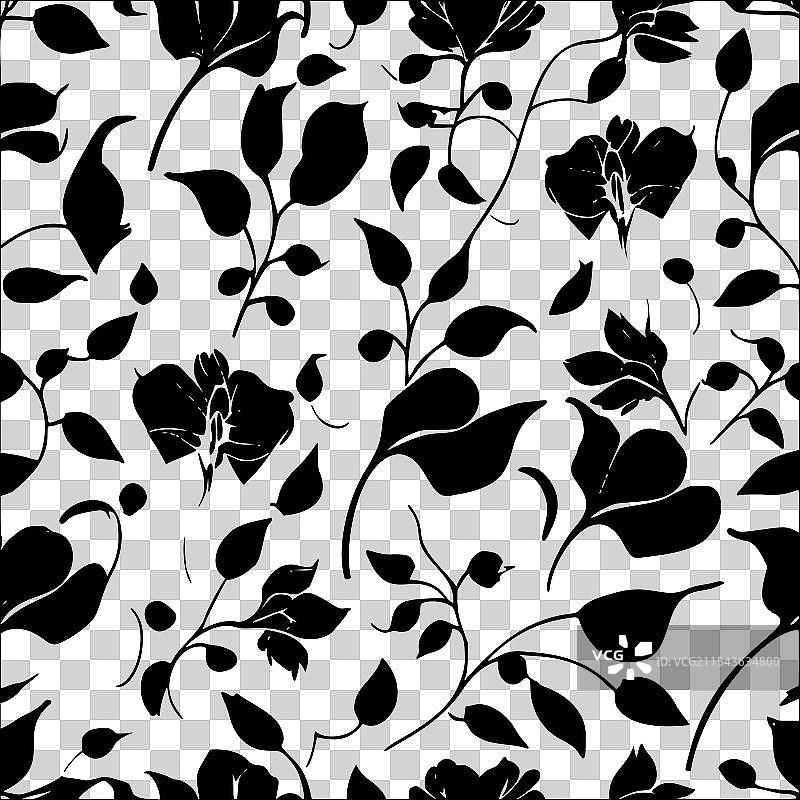 甜豌豆花图案抽象无缝色彩图片素材