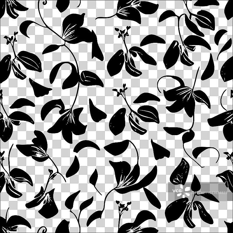 甜豌豆花图案抽象无缝色彩图片素材