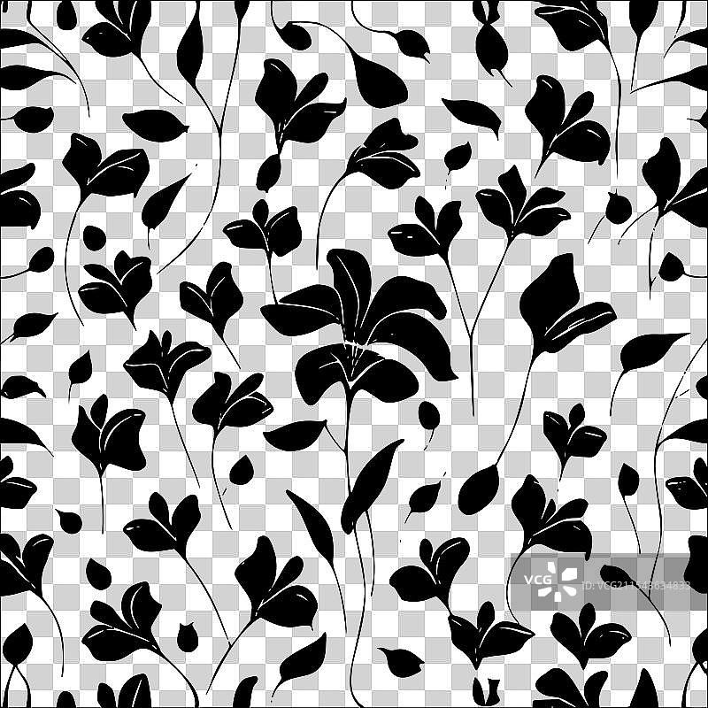 甜豌豆花图案抽象无缝色彩图片素材