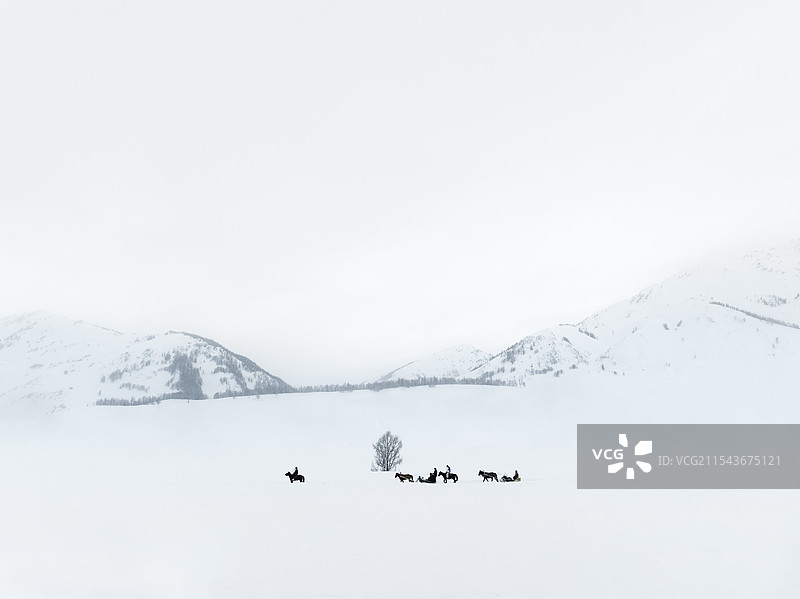 Snowy Journey雪中行图片素材