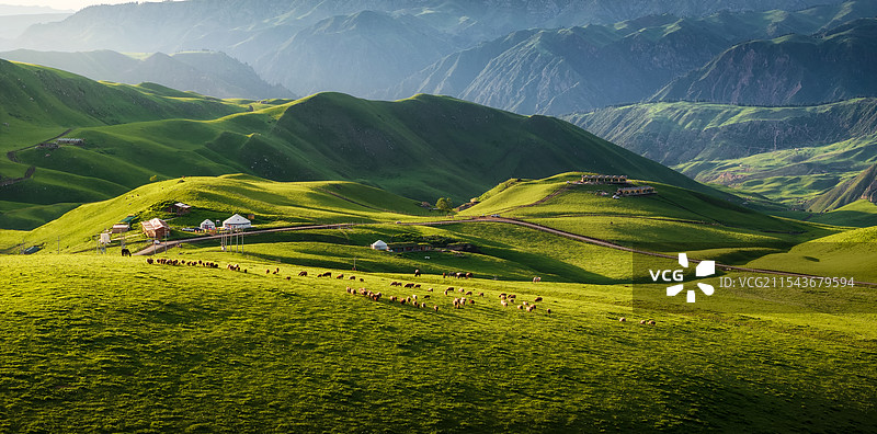 新疆伊犁河谷草原光影图片素材