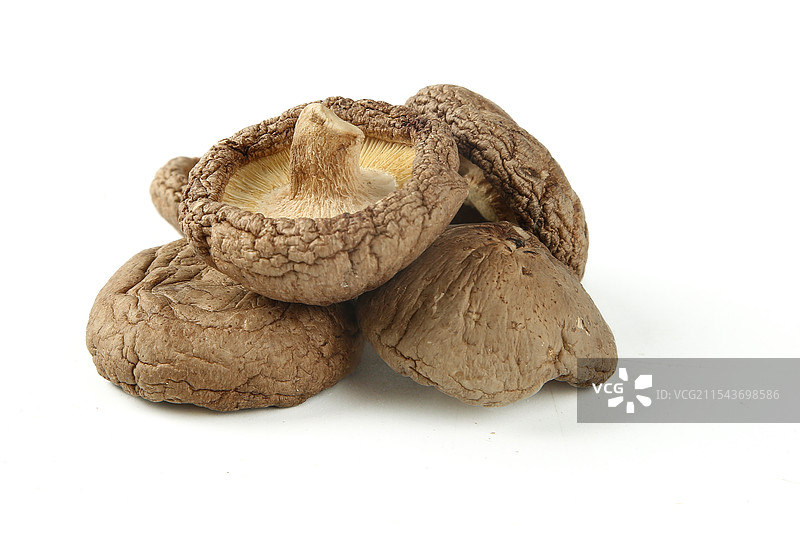 干香菇图片素材