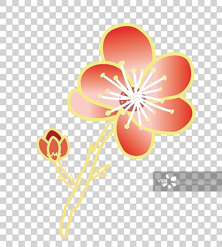 腊梅金梅梅花花瓣花蕊图片素材