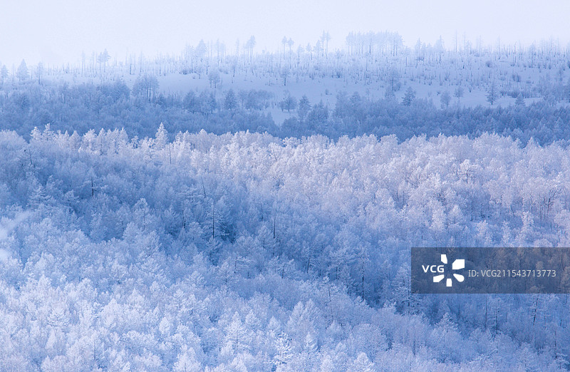 阿尔山冬天景色图片素材