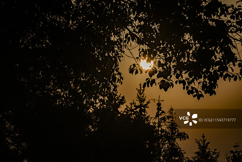 夕阳日落图片素材