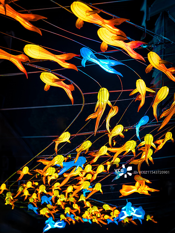 光影锦鲤鱼灯图片素材