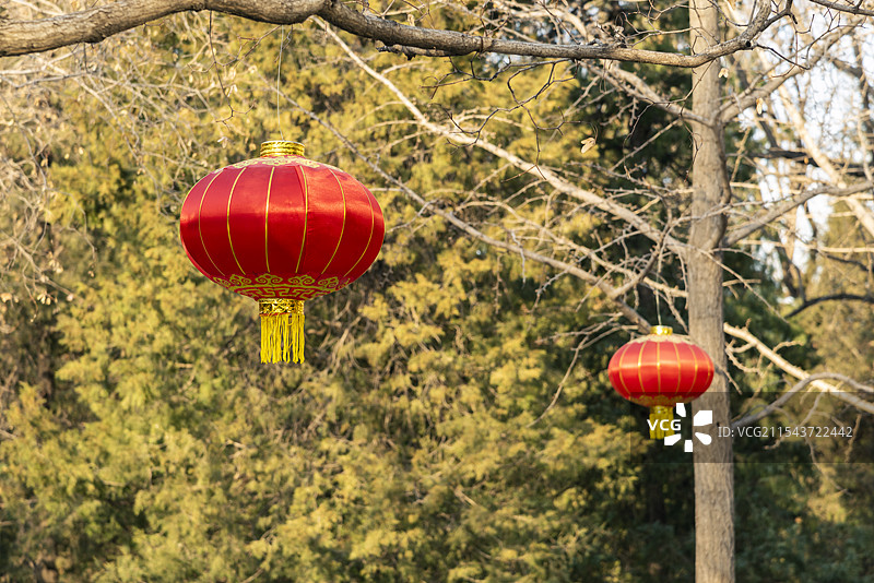 节日公园中装点的红灯笼图片素材