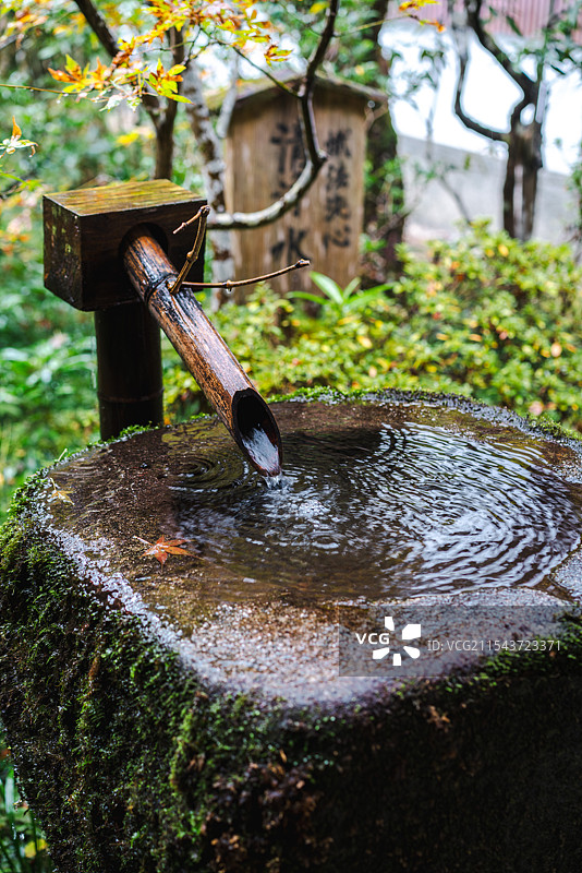 日本京都传统庭院的水手钵图片素材