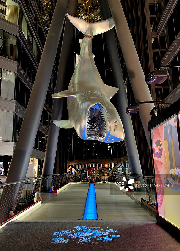 鲨鱼艺术品图片素材