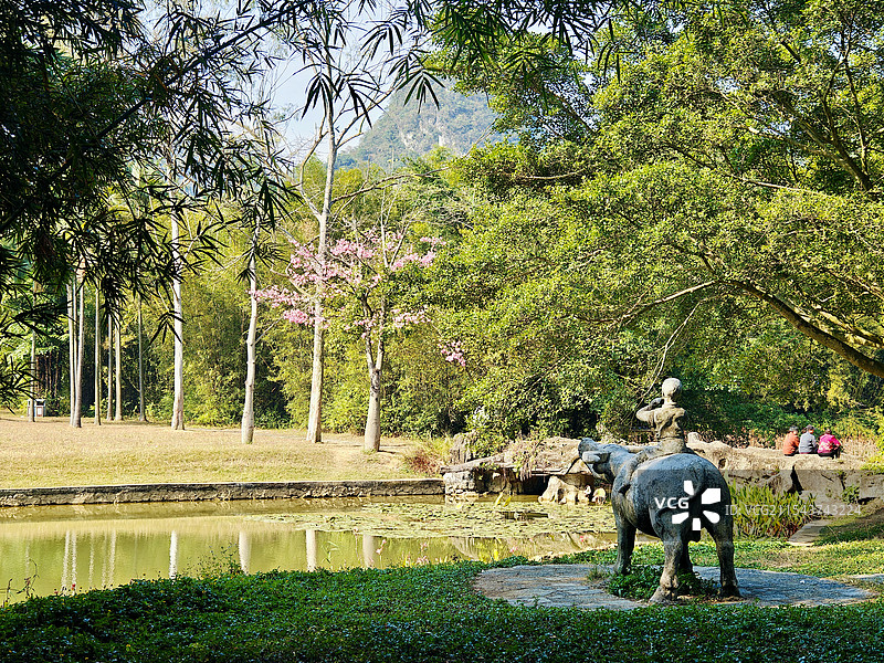 广西柳州 龙潭公园图片素材