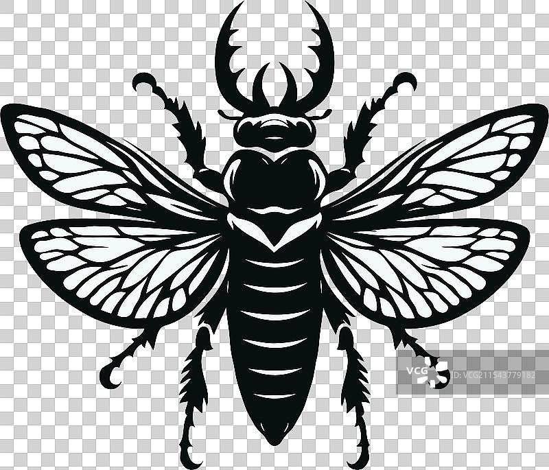 昆虫剪影设计图片素材