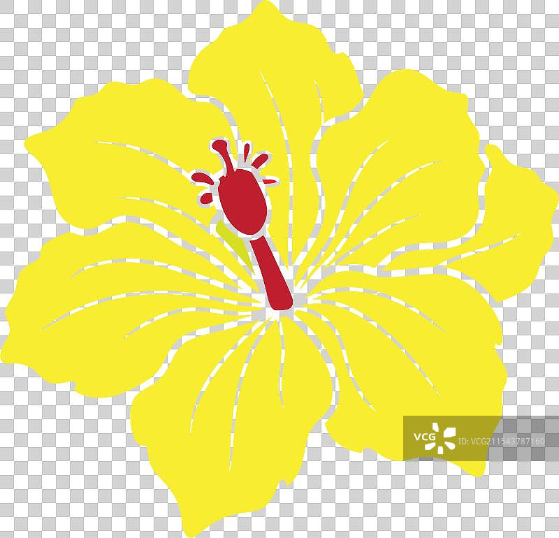 木槿花图标艺术图片图片素材