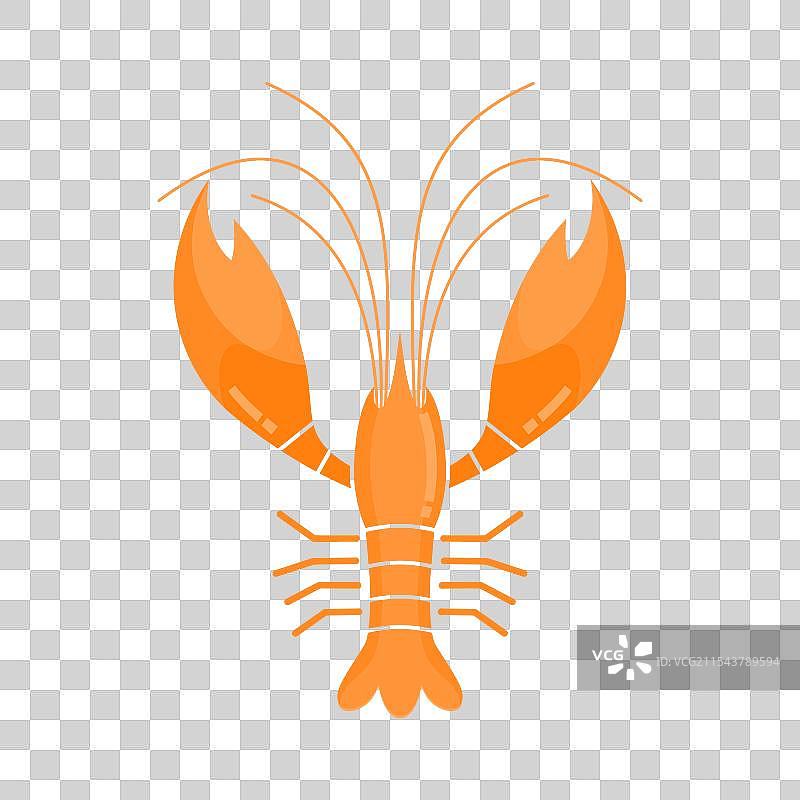 橙色龙虾图片素材