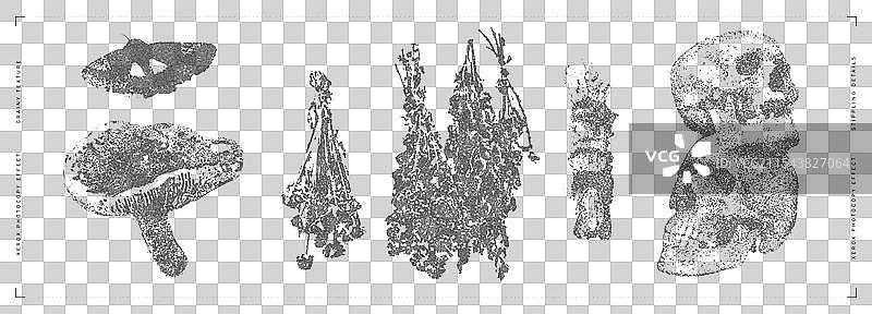 万圣节时尚系列图片素材