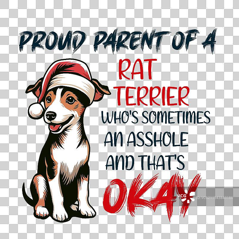 骄傲的鼠猎犬主人图片素材