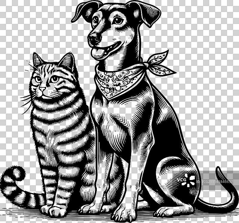 一只狗和一只猫在一起的画面图片素材