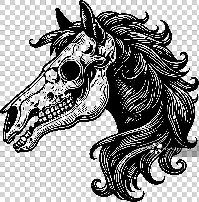 流动的马骸骨艺术表现图片素材