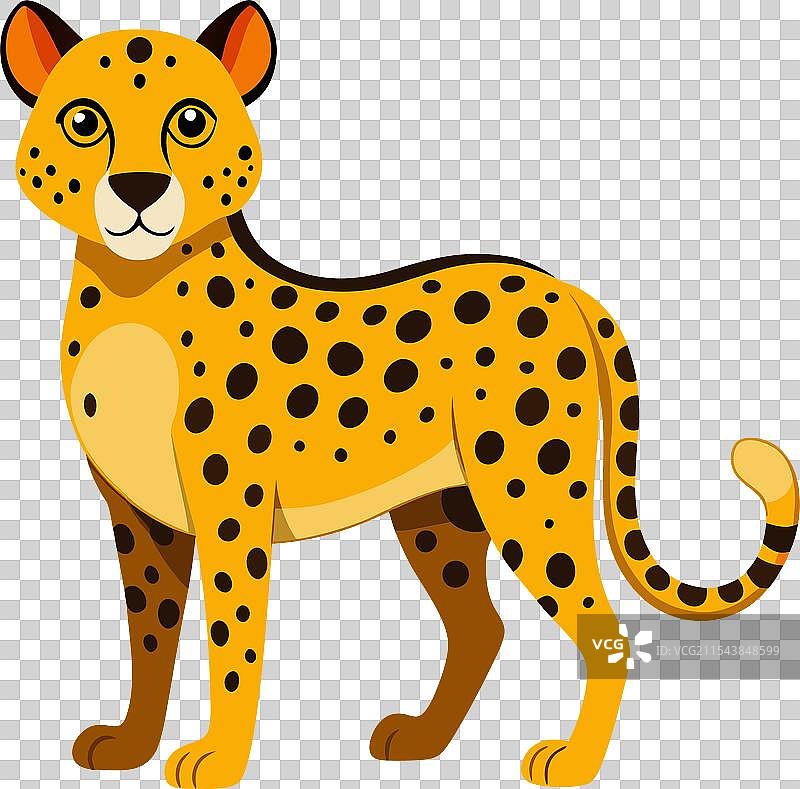 猎豹在白色背景上图片素材