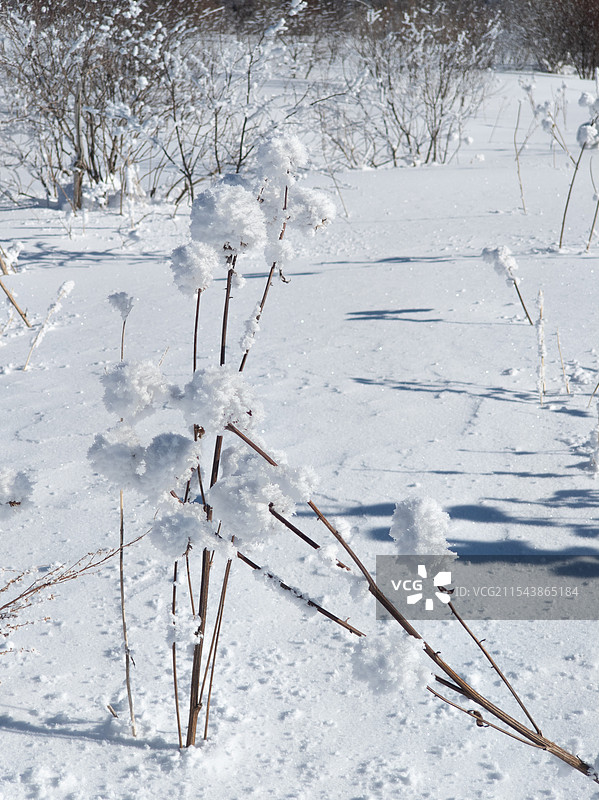 羊草山路遇冰“花”图片素材