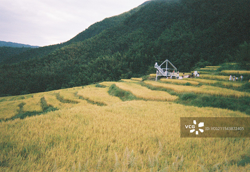 清远连山欧家梯田图片素材