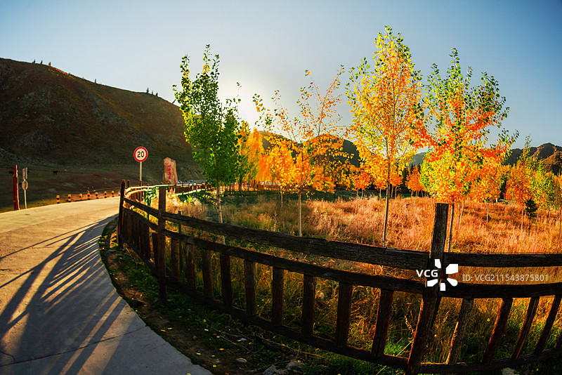 额河第一村（塔拉特村）秋吟（新疆富蕴县）图片素材