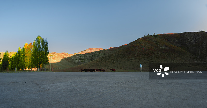 额河第一村（塔拉特村）秋吟（新疆富蕴县）图片素材