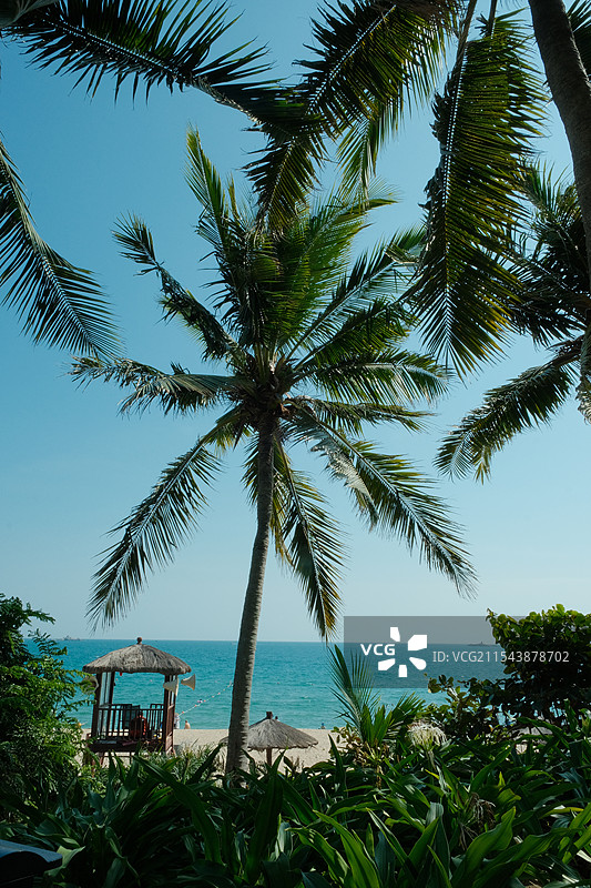 三亚喜来登酒店图片素材