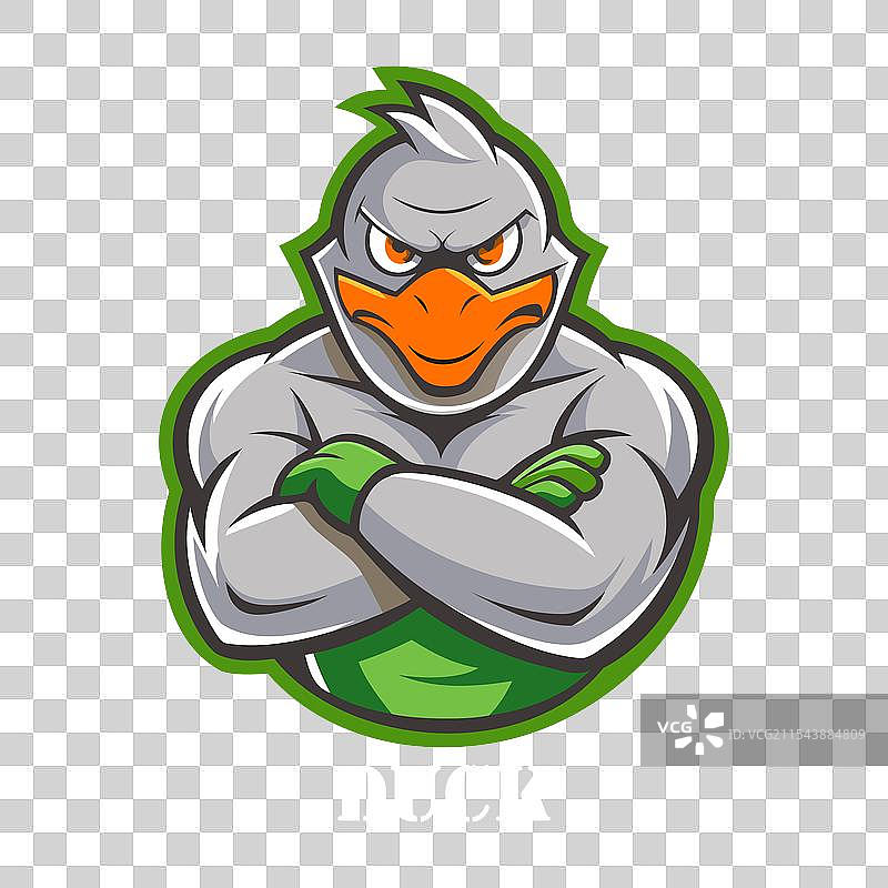 肌肉发达的鸭子吉祥物卡通角色图片素材