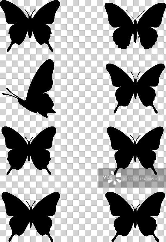 优雅的蝴蝶剪影设计套件图片素材