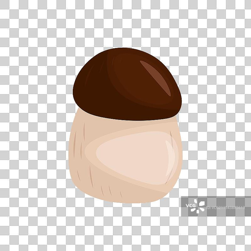 白色背景上的白蘑菇图片素材