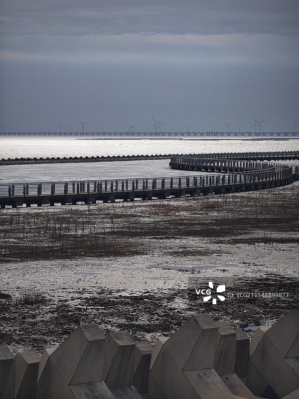 东海大桥，风力发电站与滩涂图片素材