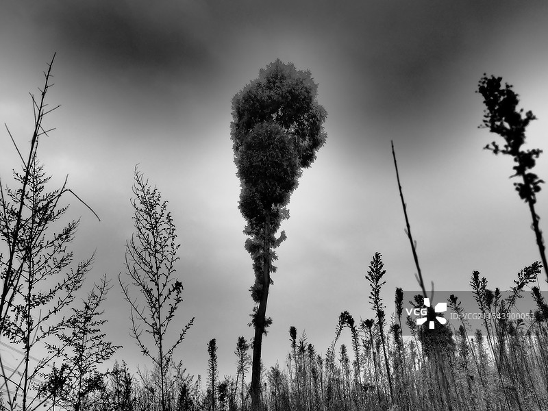 暗影戏剧图片素材