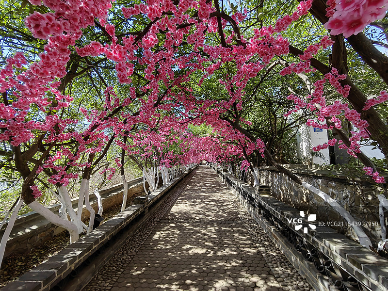 山东省烟台市芝罘区烟台山风景区图片素材