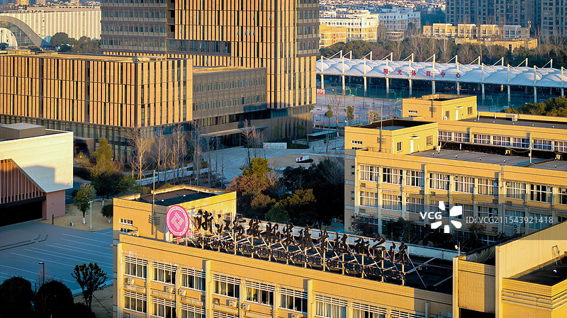 金色校园，浙江纺织服装学院图片素材