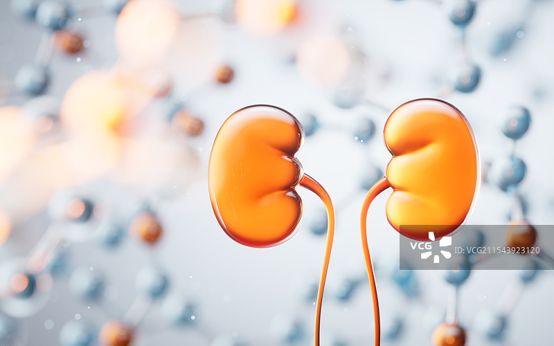 肾脏器官与生物分子背景三维渲染图片素材