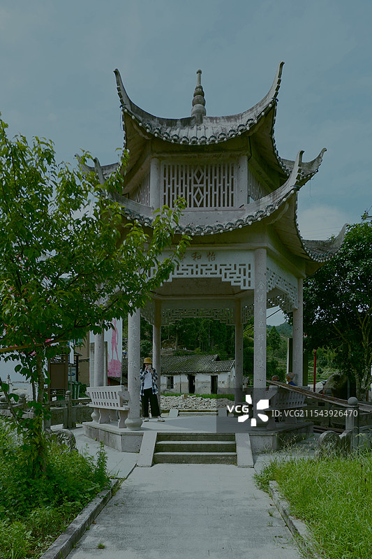福建寿宁县南阳镇含溪村荷花盛开图片素材