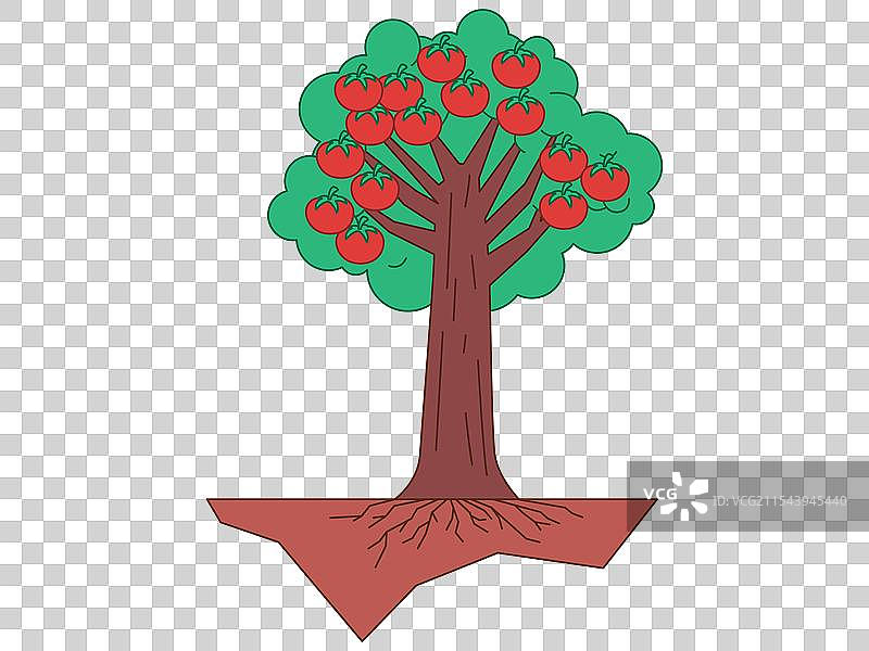 果树丰收阶段的花园图片素材