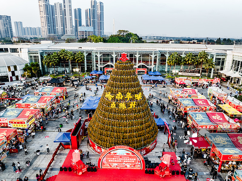 中国广东省佛山顺德区陈村花卉世界迎春花市图片素材