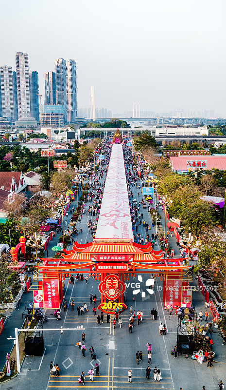 中国广东省佛山顺德区陈村花卉世界迎春花市图片素材