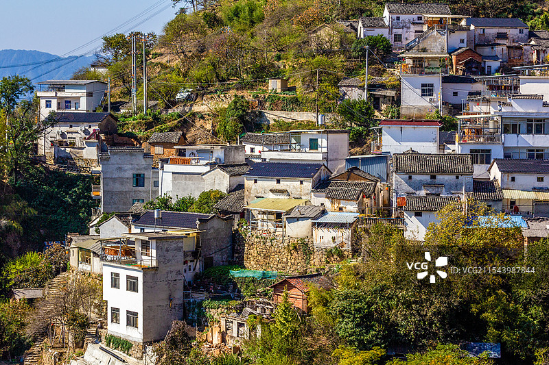 柿乡姬公尖秋色图片素材