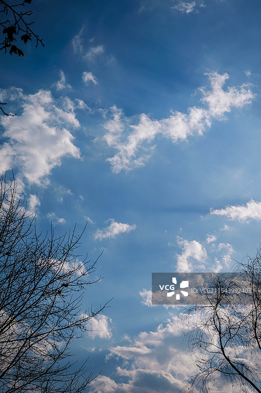 散射光下的蓝天白云与树木图片素材