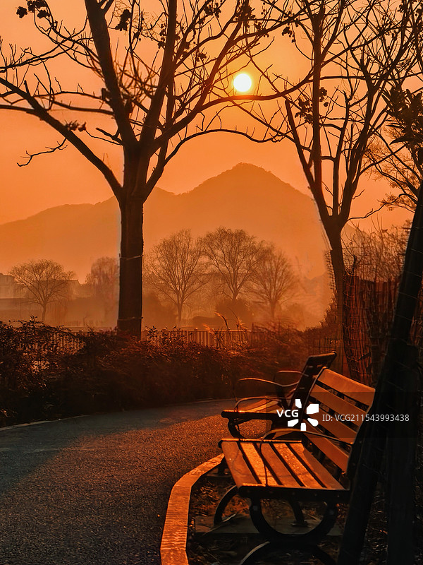 杭州丁山湖湿地图片素材