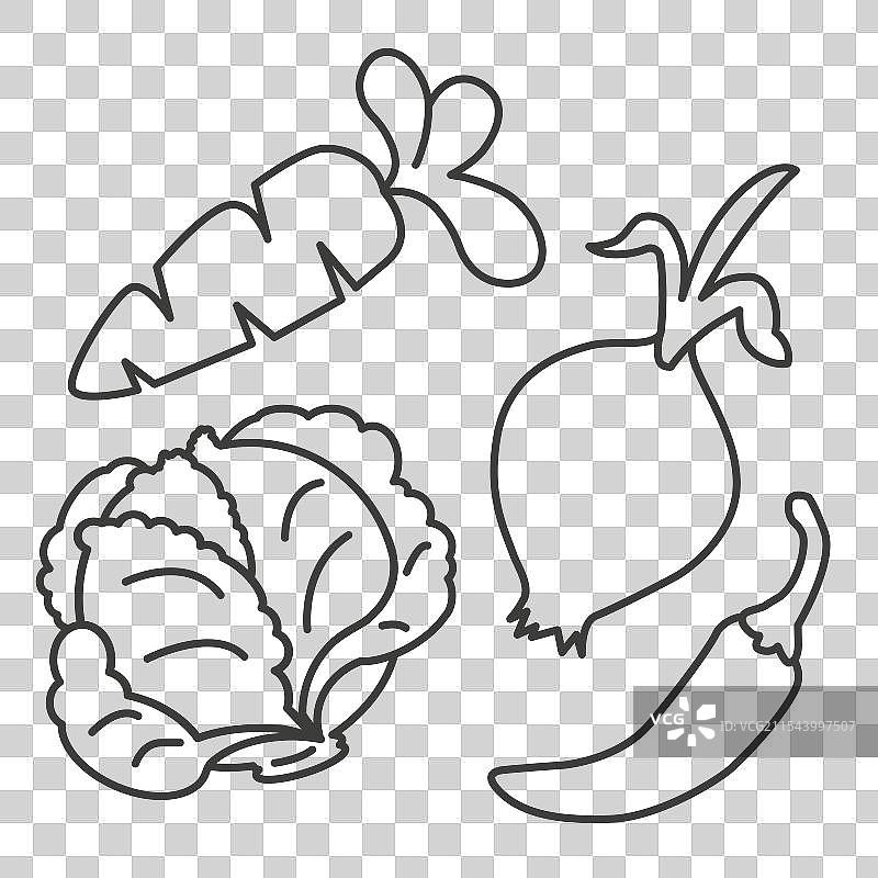 蔬菜套装，细线描绘的蔬菜图片素材