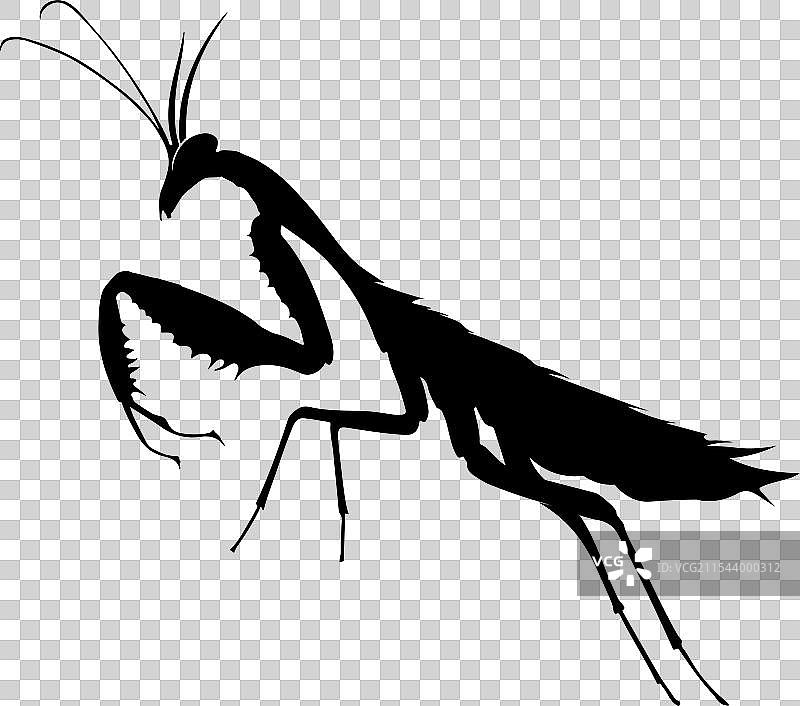 一瓶薄荷糖的剪影图片素材